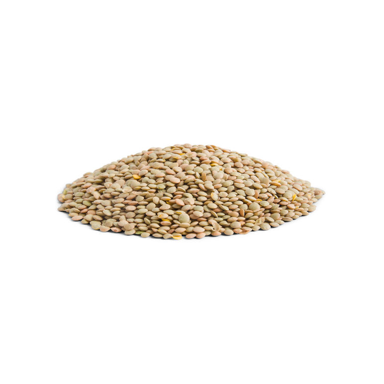 Bean Lentil Dried
