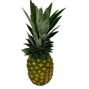 Pineapple Fresh Golden Ripe