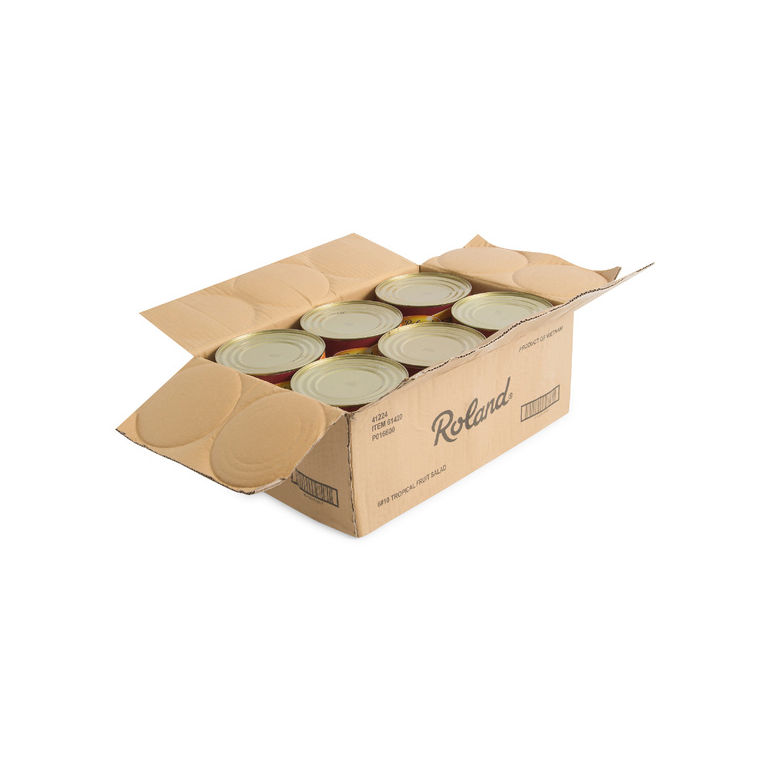 Salad Fruit Tropical