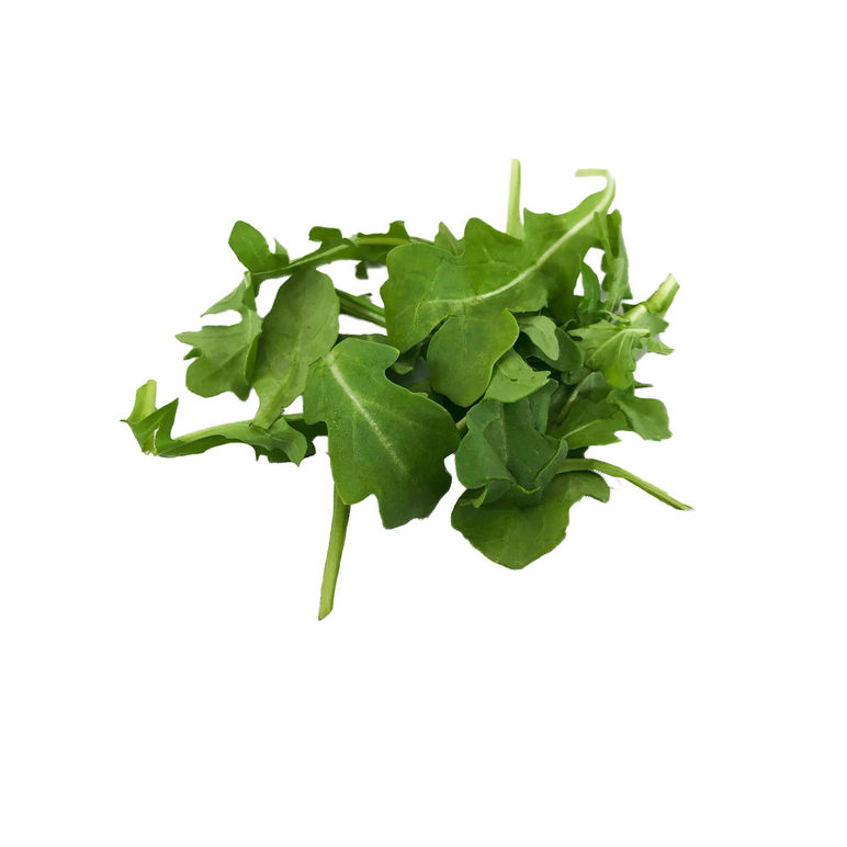 Arugula Baby Fresh