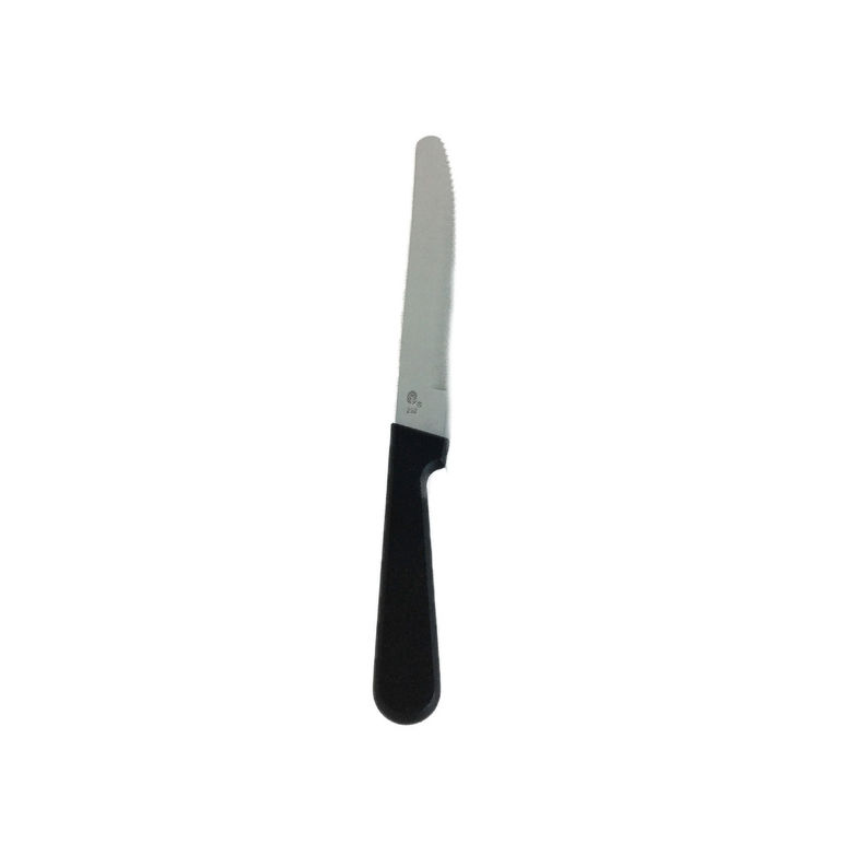 Knife Steak Rnd Tip Plastic Handle