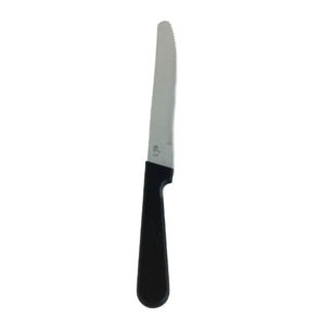 Knife Steak Rnd Tip Plastic Handle