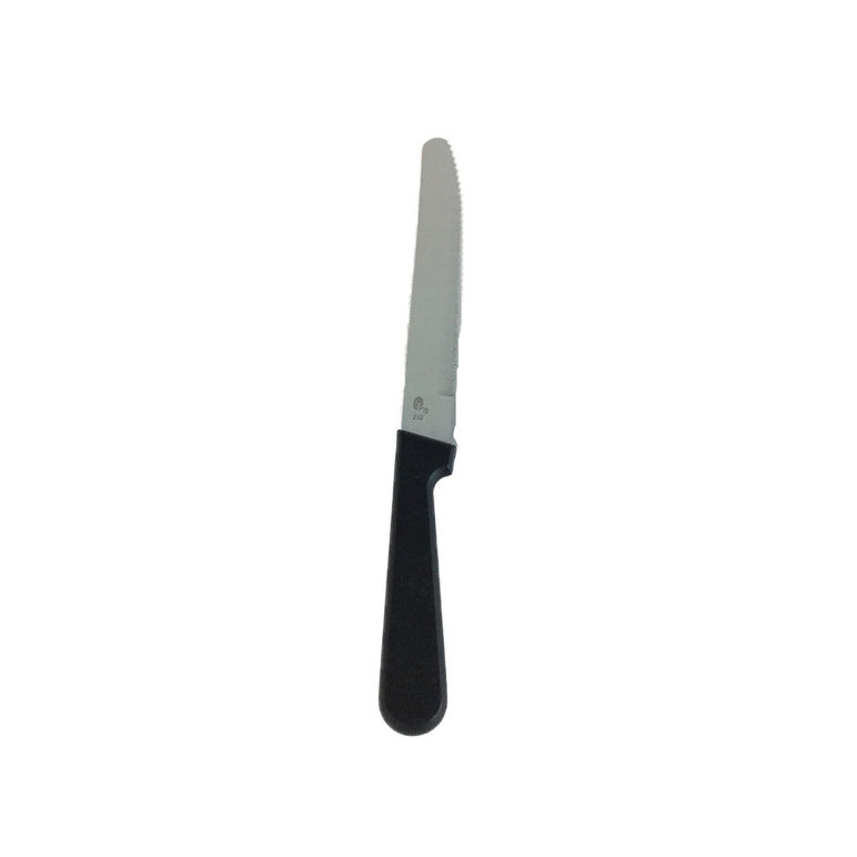 Knife Steak Rnd Tip Plastic Handle