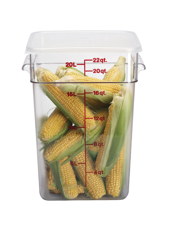 Container Food Camwear Square Clear