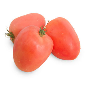Tomato Roma Utility Fresh