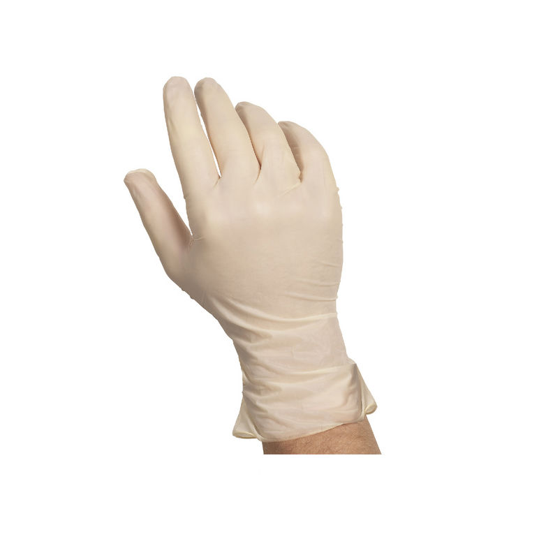 Glove Latex Foodservice Powder-free Large
