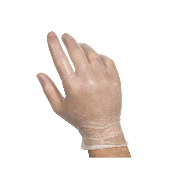 Glove Vinyl Foodservice Powder Free Large
