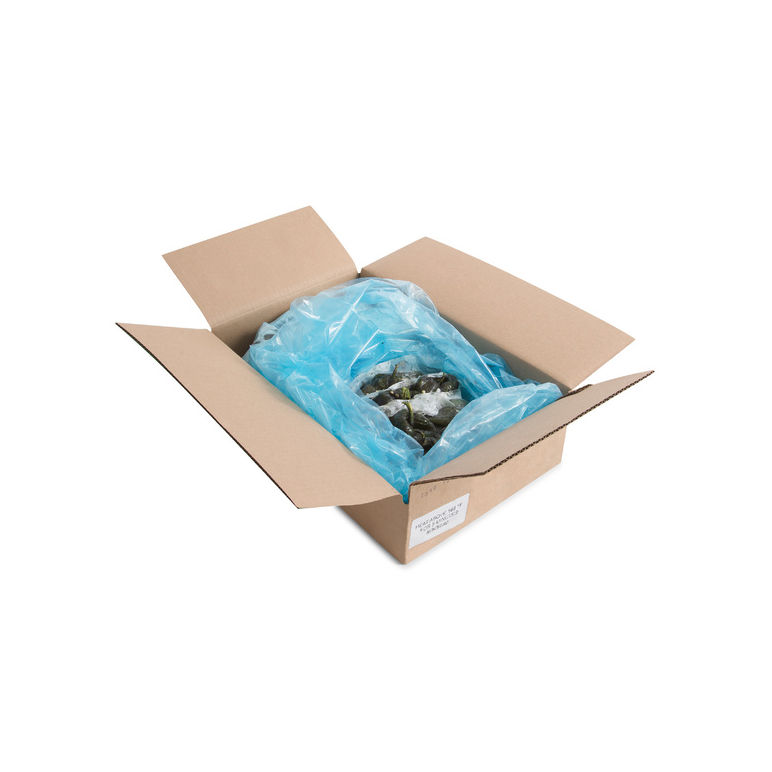 Pepper Chile Poblano Whole Roasted