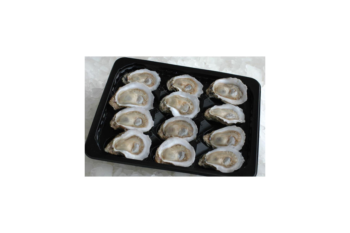 Oysters Half Shell Iqf 12 Dozen