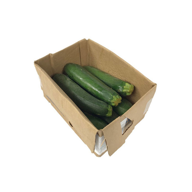 Squash Zucchini Medium Fresh