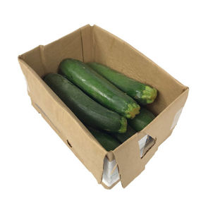 Squash Zucchini Medium Fresh