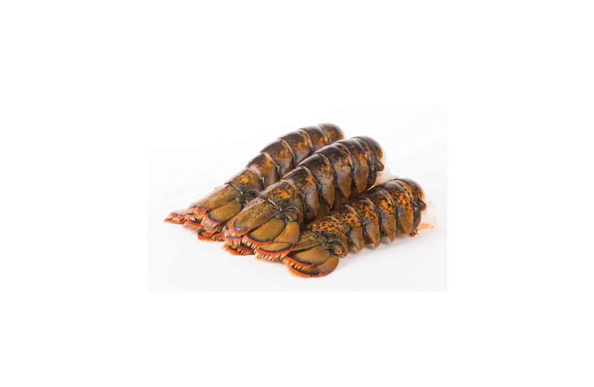Lobster Tail North Atlantic Premium 5-6 Ounce