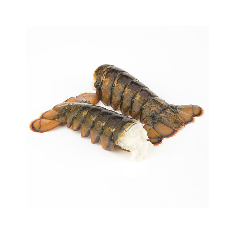 Lobster Tail North Atlantic Premium 5-6 Ounce