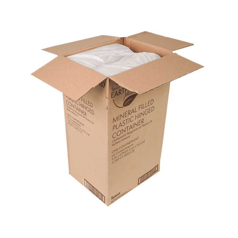 Hinged White Plastic Container w/ Lid
