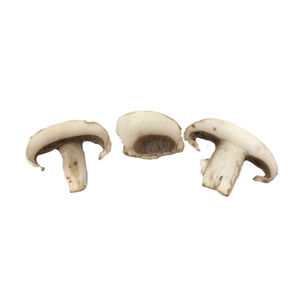 Mushroom Sliced Foodservice #2 Fresh