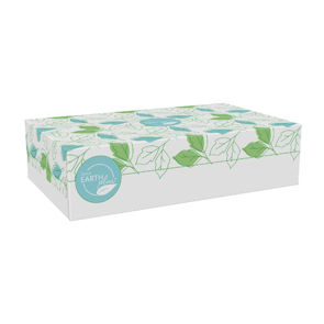 Facial Tissue Flat Box 2 Ply