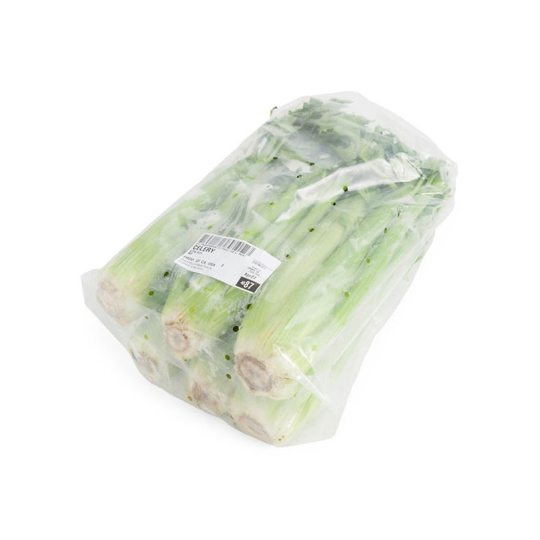 Celery Fresh
