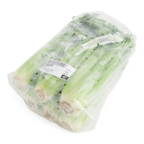 Celery Fresh
