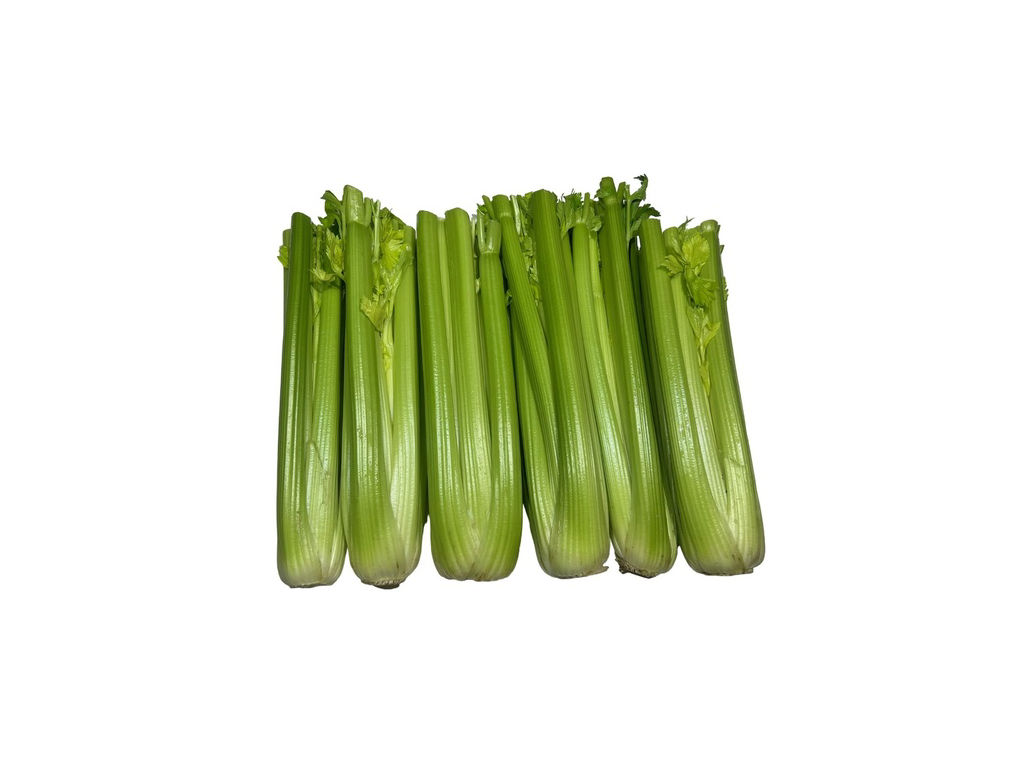 Celery Fresh