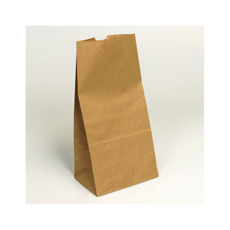 Bag Paper Brn 20 Pound