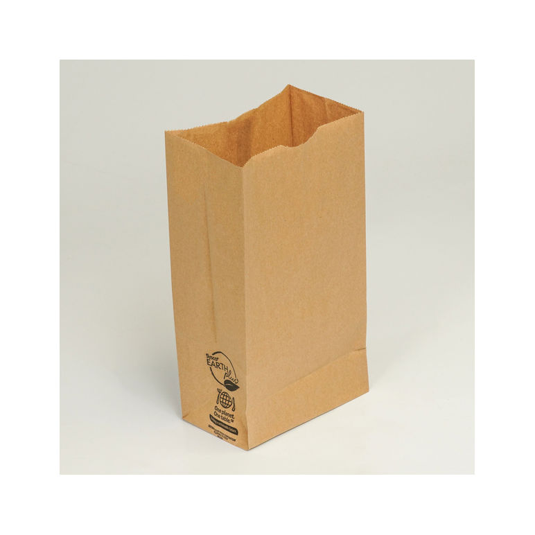 Bag Paper Brn 6 Pound