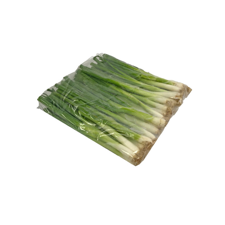 Onion Green Iceless