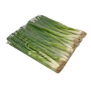 Onion Green Iceless