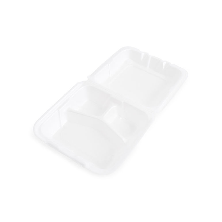 Container Foam Hinged 3 Compartment Double Tab