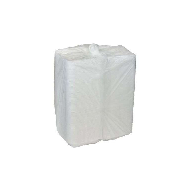 Container Foam Hinged 1 Compartment Double Tab 150/8x8x3