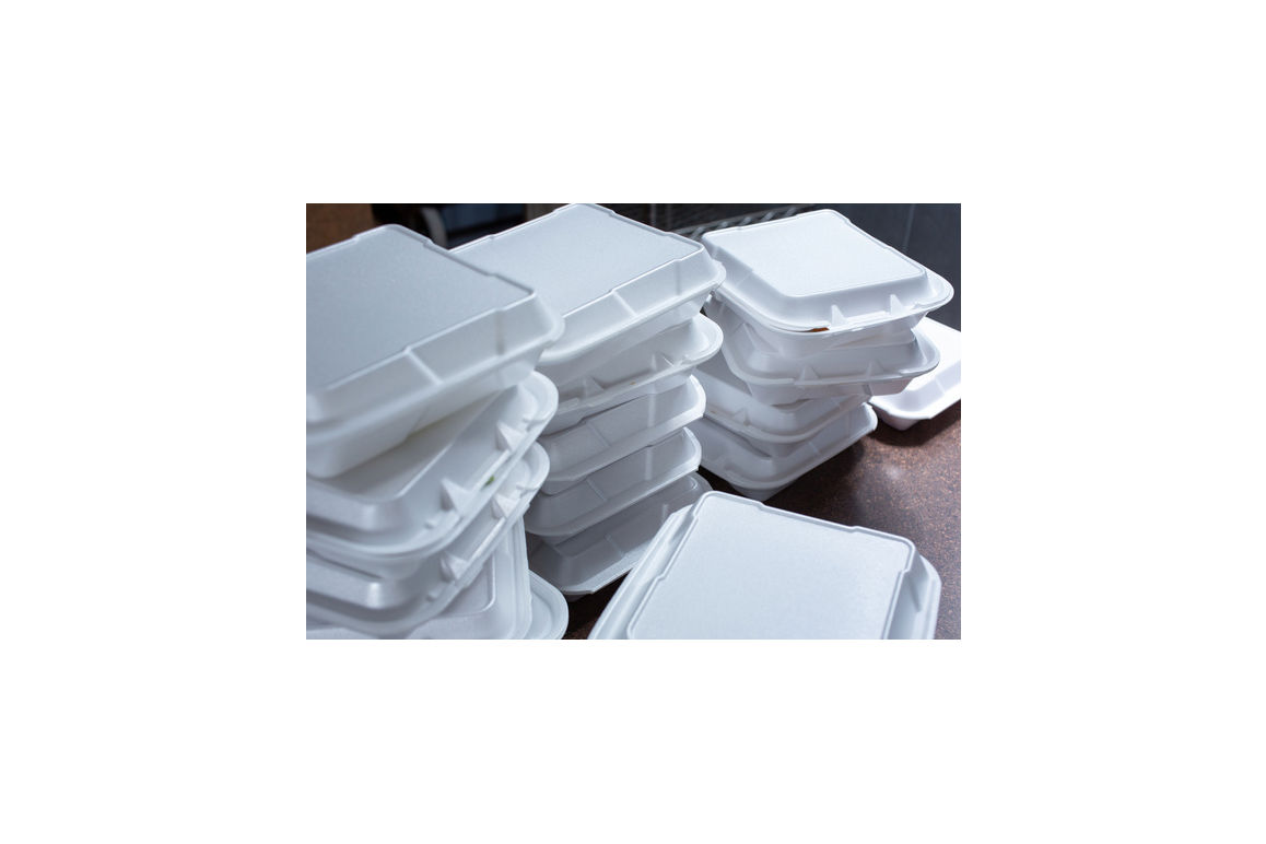 Container Foam Hinged 1 Compartment Double Tab 150/8x8x3