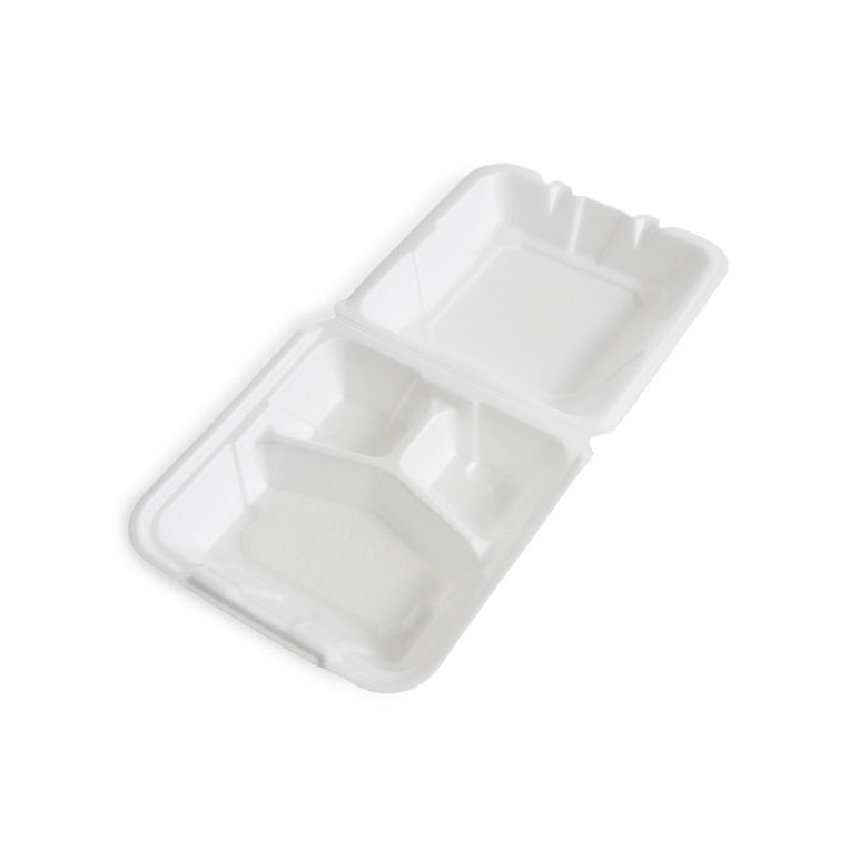 Container Foam Hinged 3 Compartment Double Tab