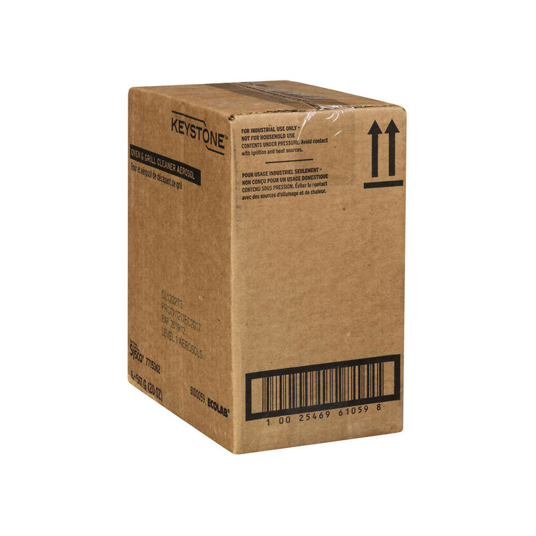 Cleaner Oven And Grill Aerosol