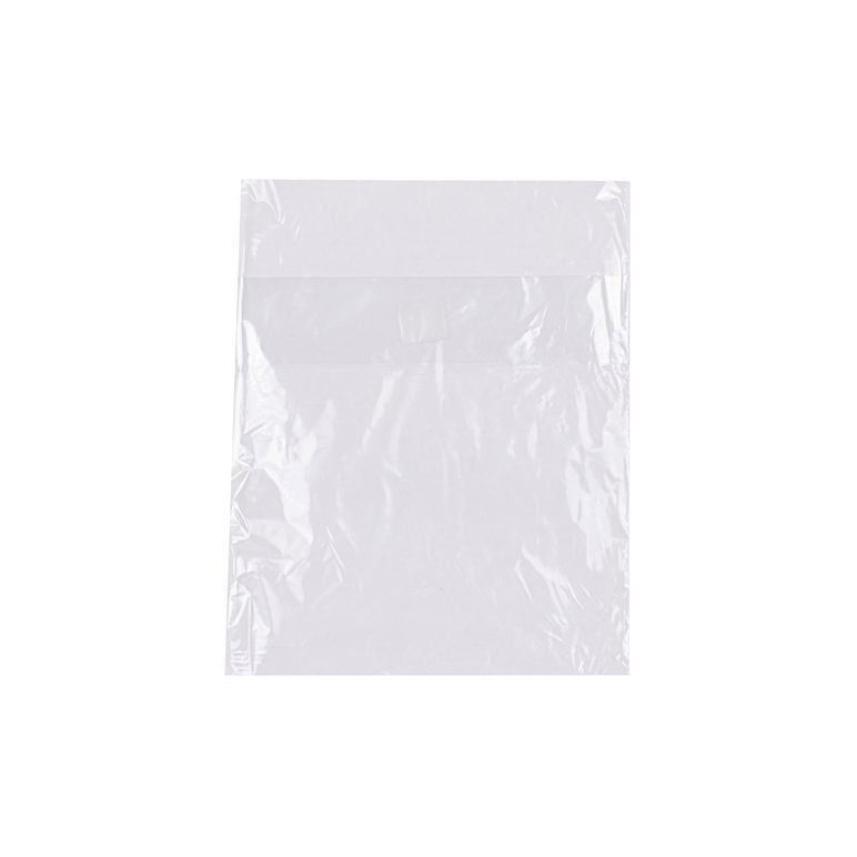 Bag Plastic Sandwich Flip Lock Top .7 Mil