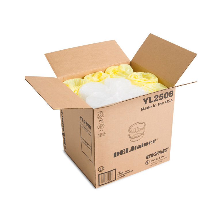 Container Plastic Deli Translucent With Lid