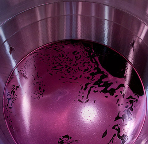 wine in a tank