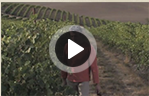 vineyard video sprite