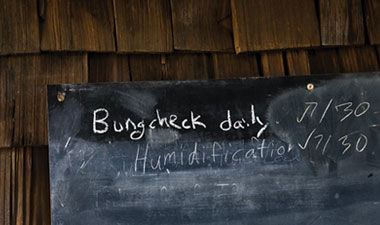 Chalkboard with winemaking checklist