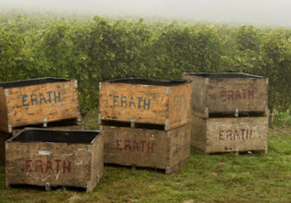 Stacked Erath crates
