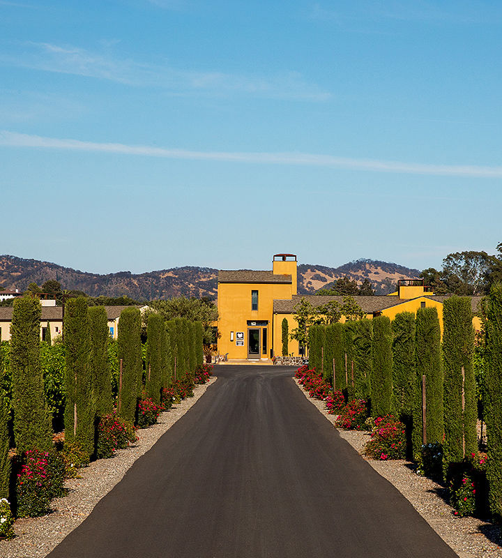 long driveway leading to tasting room