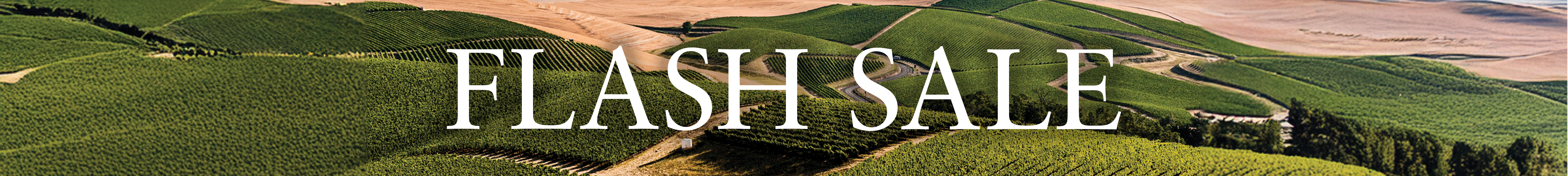 Flash Sale