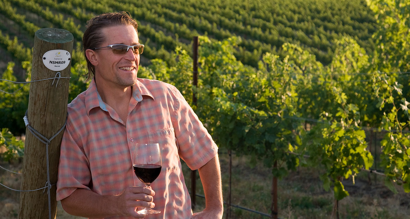Merf in the Vineyard
