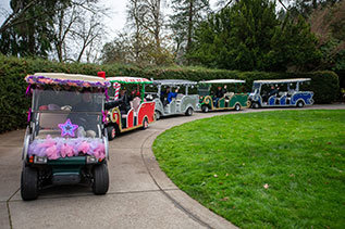Golf carts lined up for the Sip & Sleigh experience