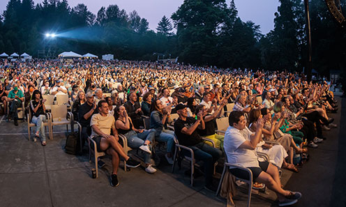Crowd of people at concert