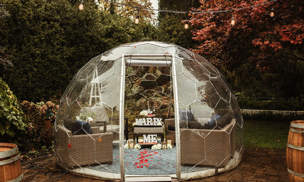 Igloo proposal experience