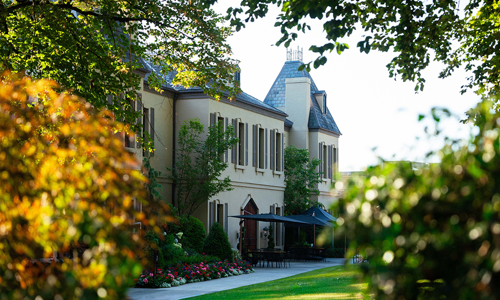 A view of the Chateau looking through the vegetation
