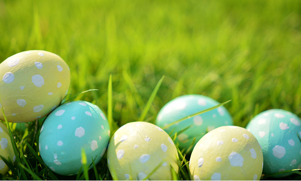 Easter eggs in the grass