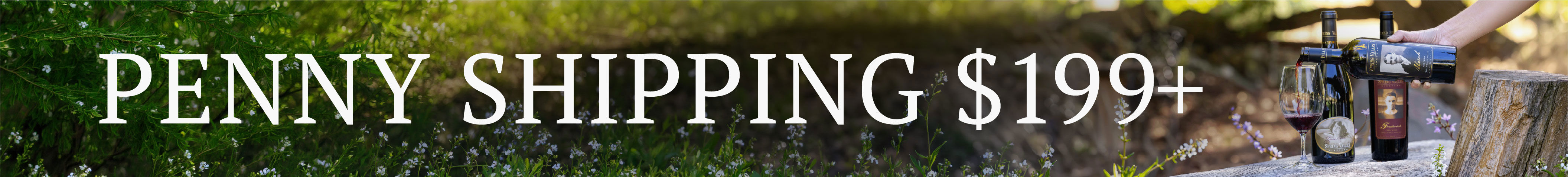 Penny Shipping on $199+