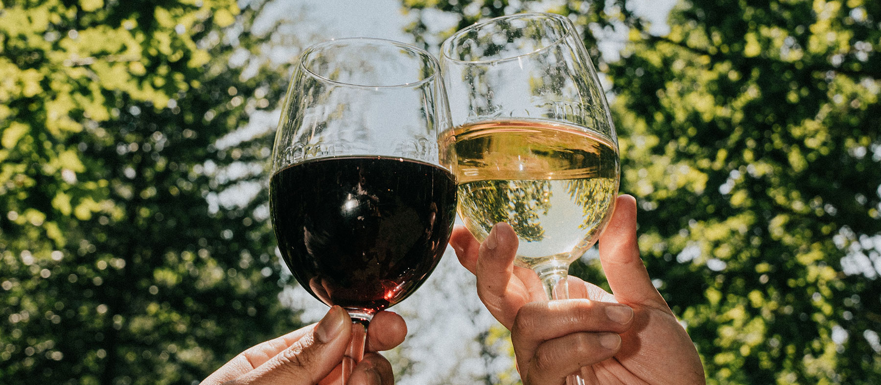 Hands holding up glasses of red and white wine outside