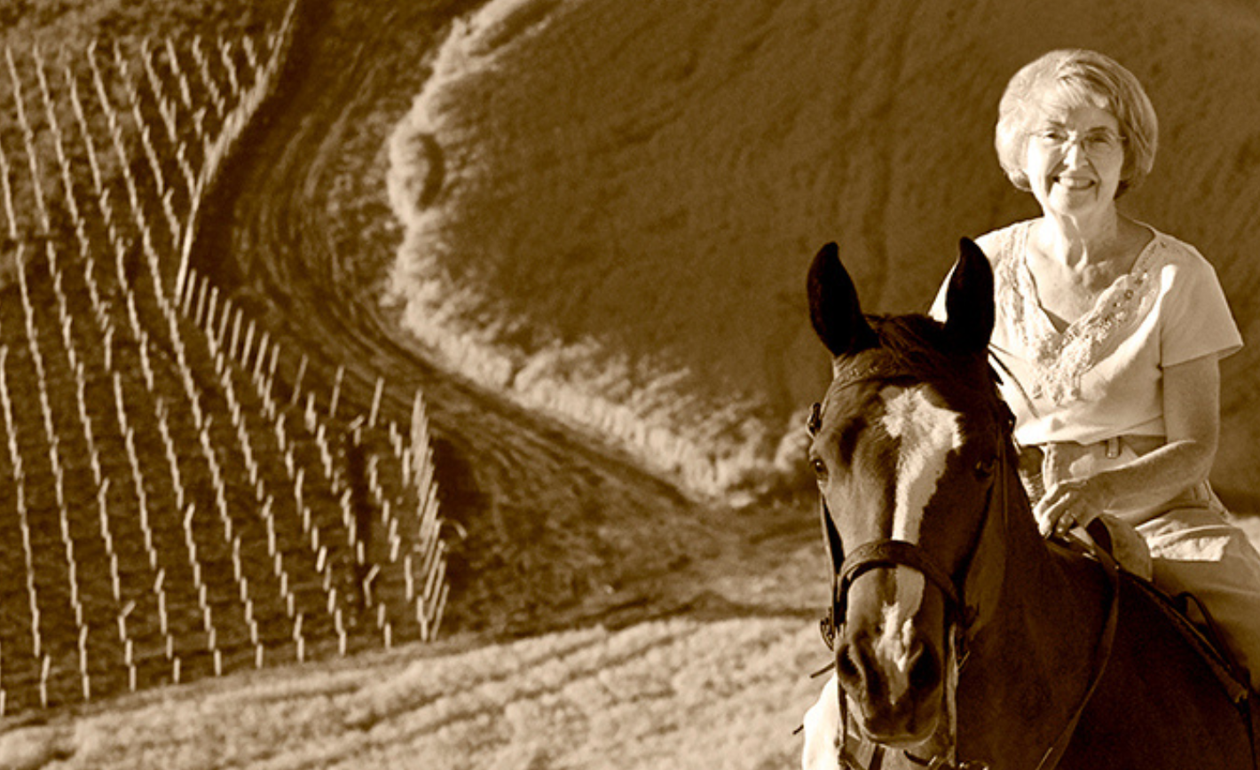 Shari on a horse at Spring Valley Vineayrd
