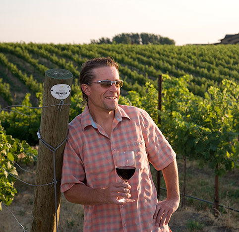 Merf in the vineyard